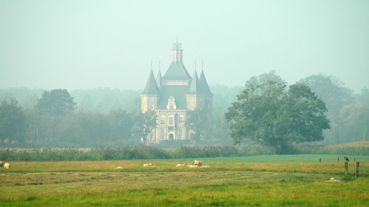 De carrière van Diederick van Veldhuysen