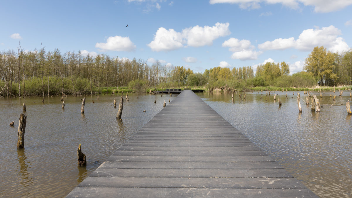 De mooiste winterwandelingen