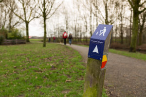 De mooiste winterwandelingen